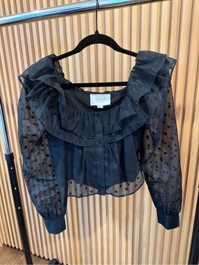 The Shirt by Rochelle Behrens Black Sheer Polka Dot Ruffle Blouse